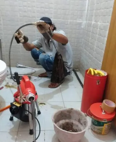 Sedot WC paaldua Murah